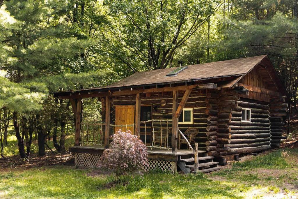 Villa Rustic Ridge Penn Yan Esterno foto