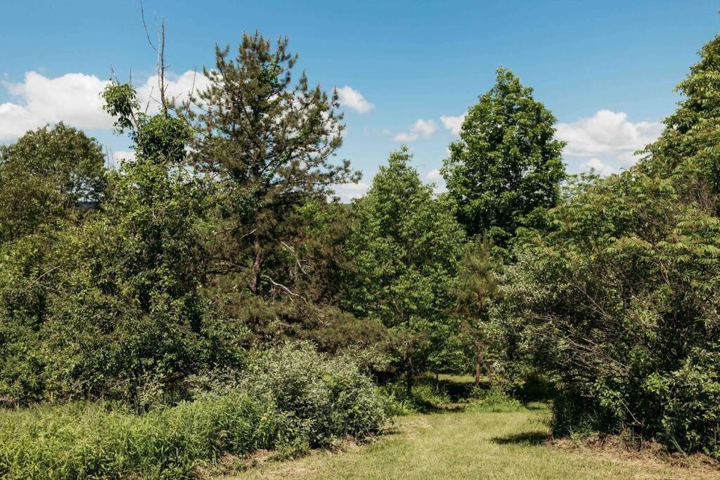 Villa Rustic Ridge Penn Yan Esterno foto